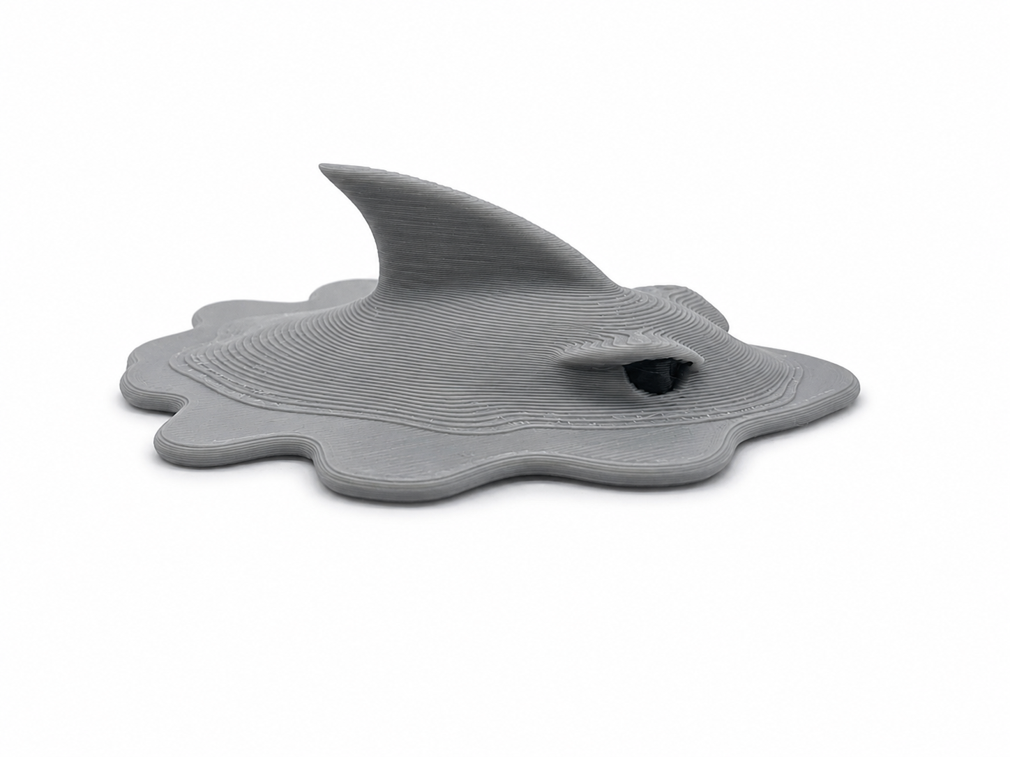 PuddleShark